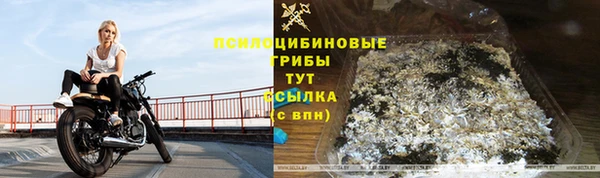 дурь Ладушкин