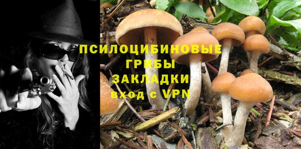 дурь Ладушкин