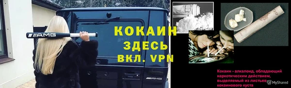 МДПВ Лагань
