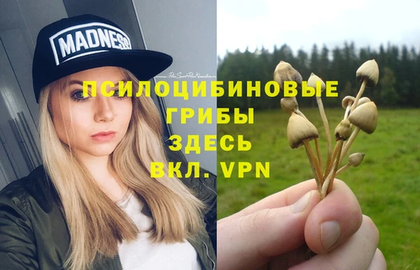 твердый Лабытнанги