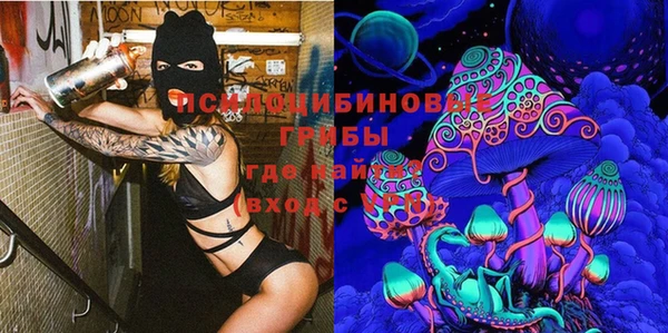 МДПВ Лагань