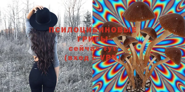 МДПВ Лагань