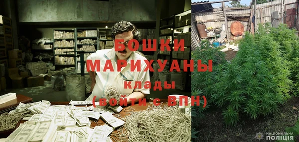 дурь Ладушкин