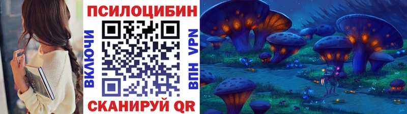 Галлюциногенные грибы GOLDEN TEACHER Купить где Бийск